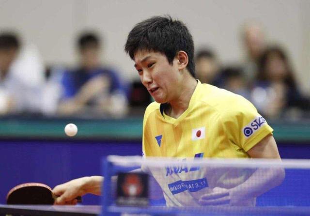 球队的成绩 球队的成绩